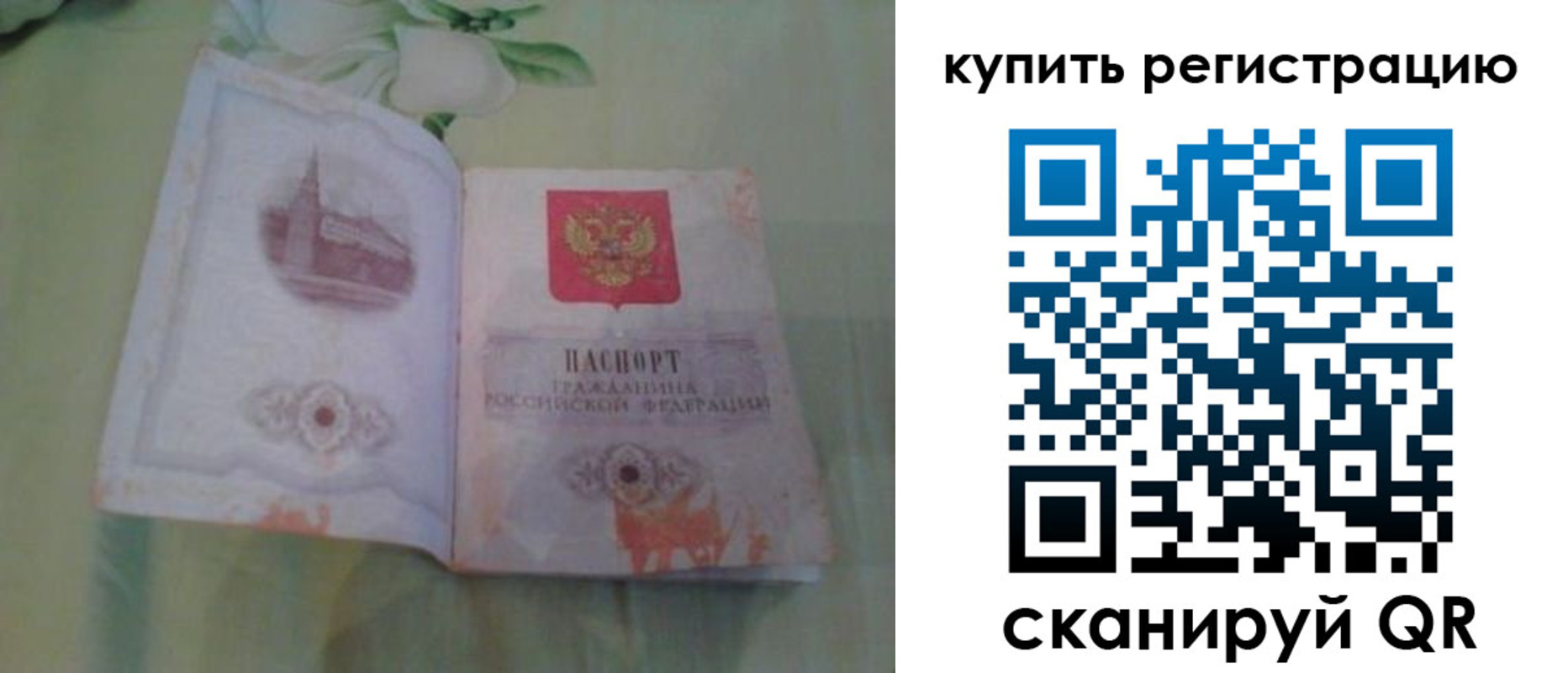 прописка регистрация в Чкаловске